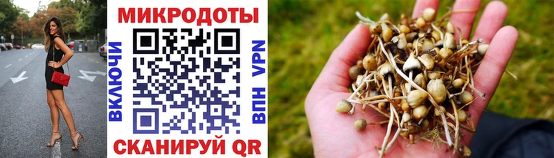 Галлюциногенные грибы MAGIC MUSHROOMS  Гусиноозёрск 